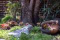 instalaciones-geriatrico-jardin-2
